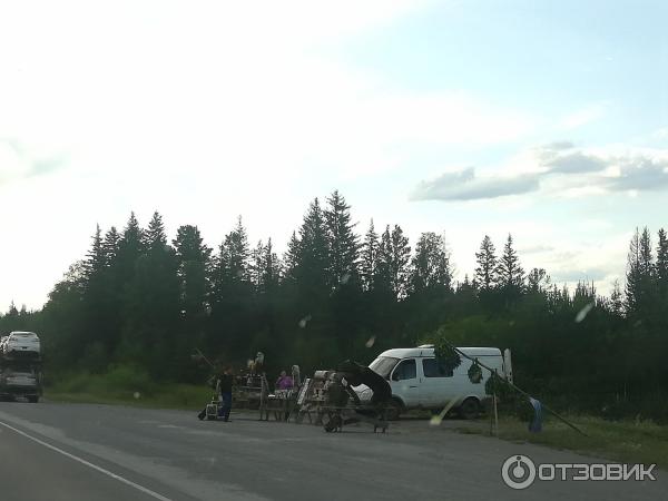 Трасса М53 (от Иркутска до Тулуна) фото