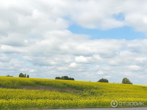 Трасса М53 (от Иркутска до Тулуна) фото