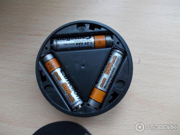 Аккумуляторные батареи Camelion ААА 800 mAh фото