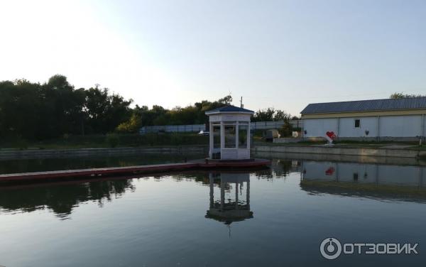 Смартфон Honor 20 фото