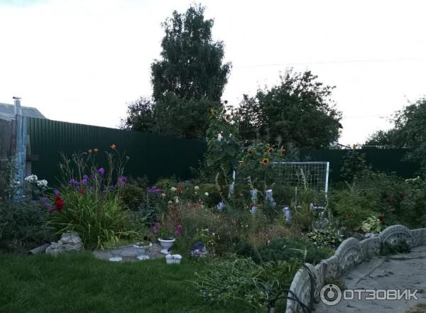 Смартфон Honor 20 фото