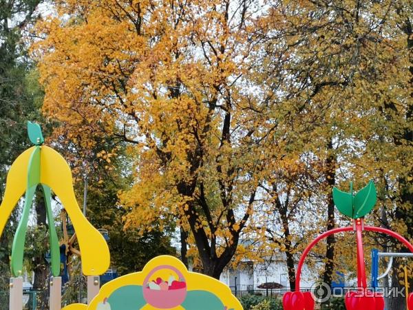 Смартфон Honor 20 фото