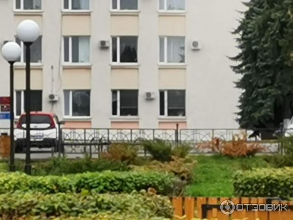 Смартфон Honor 20 фото