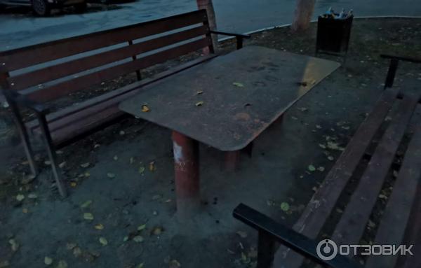 Смартфон Honor 20 фото