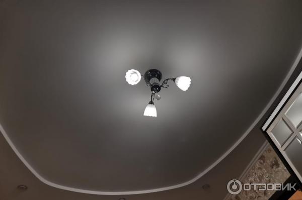 Смартфон Honor 20 фото
