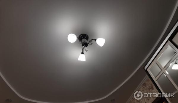 Смартфон Honor 20 фото