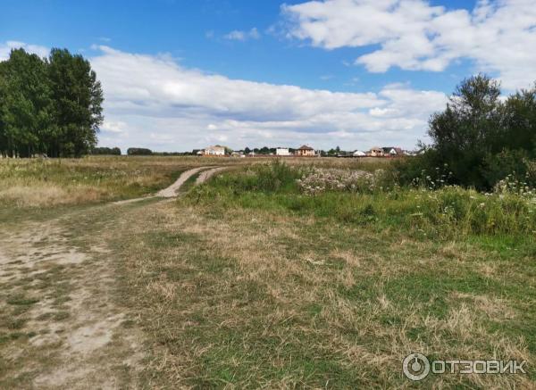 Смартфон Honor 20 фото