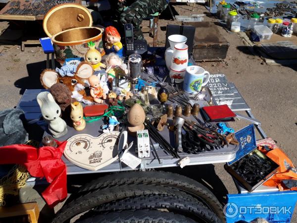Блошиный рынок на Удельной (Россия, Санкт-Петербург) фото