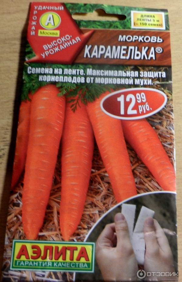 Вершки или корешки морковки: какие полезнее?