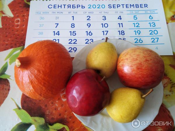 Отзыв о Семена Седек "Тыква Детская деликатесная" | Ищу другой сорт