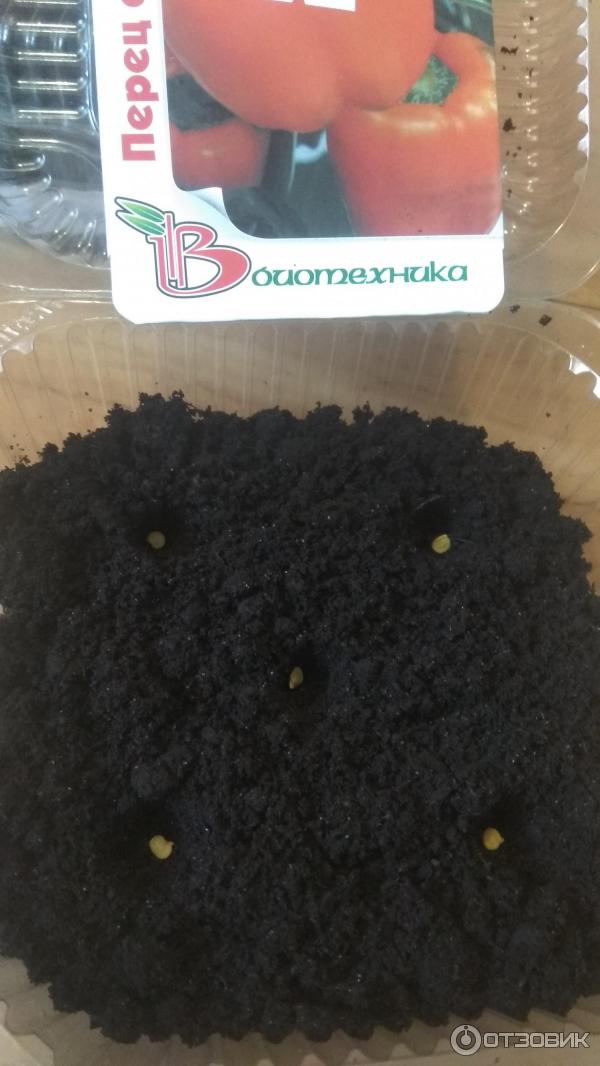 Semena sladké papriky Biotechnics Gourmet F1 foto