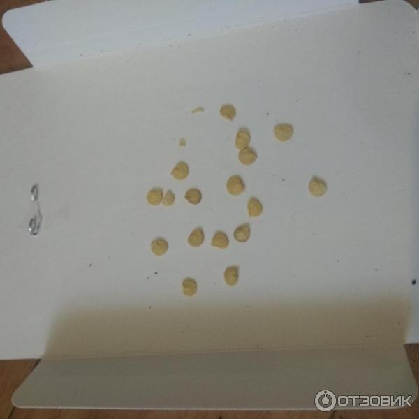 Semena sladké papriky Biotechnics Gourmet F1 foto