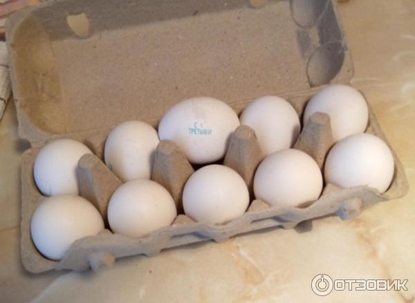 домашние куриные яйца. красить яйца в луковой шелухе. яйца куриные в коробке. красное куриное яйцо. вареные яйца.