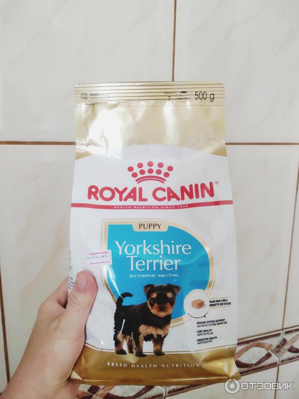 корм роял канин для щенков йоркширских терьеров. 5 кг. роял канин йоркширский терьер паппи. роял канин для йоркширских терьеров. роял канин йоркшир терьер 28 0.