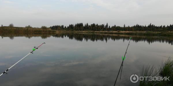 Рыбалка на Истре бесплатно: лучшие места для безвозмездной ловли