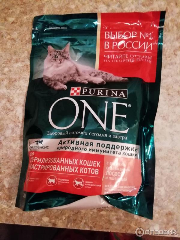 Purina one для домашних кошек. Purina ваш питомец наша забота. Отзывы о корме пурина для кошек. Корм для кошек пурина one водный. Корм для кошек 1,5кг магнит.