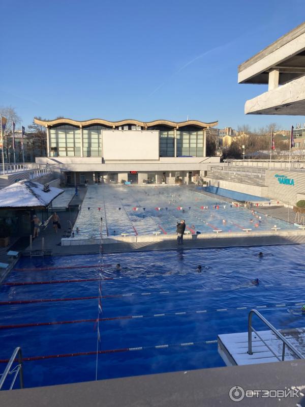 Спортивный комплекс чайка. Чайка спортивно-оздоровительный комплекс Москва. Бассейн открытый в Москве с разовым посещением. Универсальный спортивный комплекс «Чайка», Москва фото. Бассейн открытый в Москве 3 часа цена.
