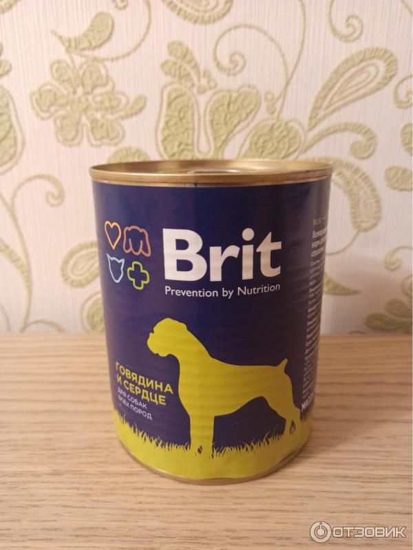 Отзыв о Консервы для собак Brit | Очень неплохие консервы, мой питомец ...