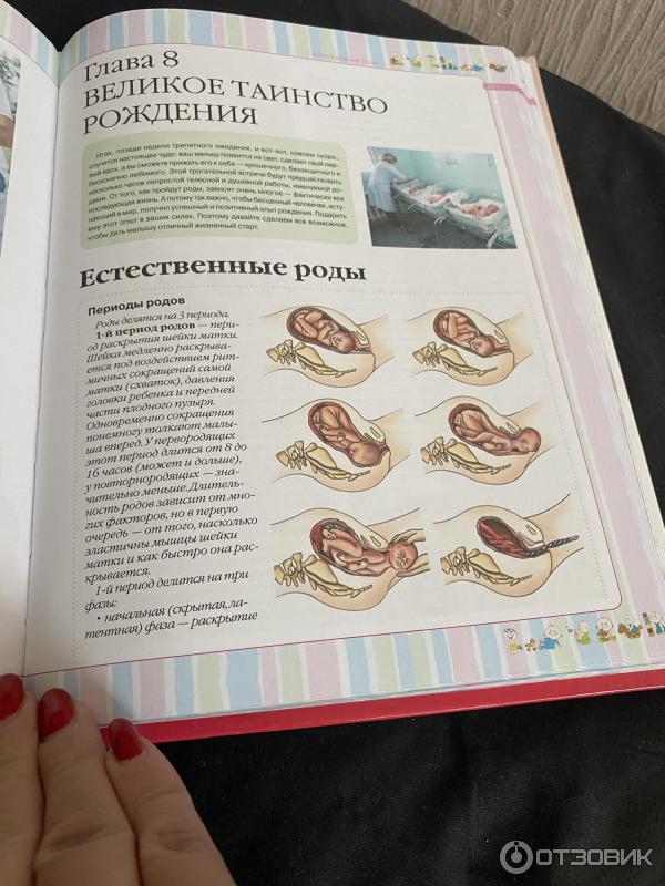 Чеснова большая книга