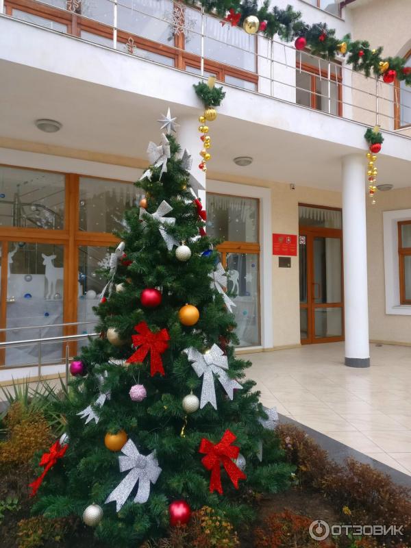 Новый Год В Крыму Отзывы Новый Год В Крыму Отзывы