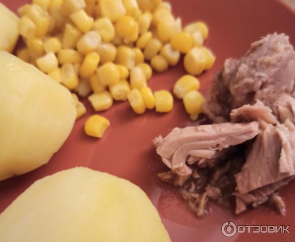 Отзыв о Консервы рыбные 5 морей "Тунец натуральный" филе | Вкусная рыбка.