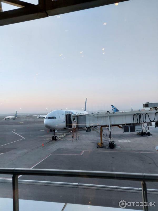 Авиакомпания Egyptair фото