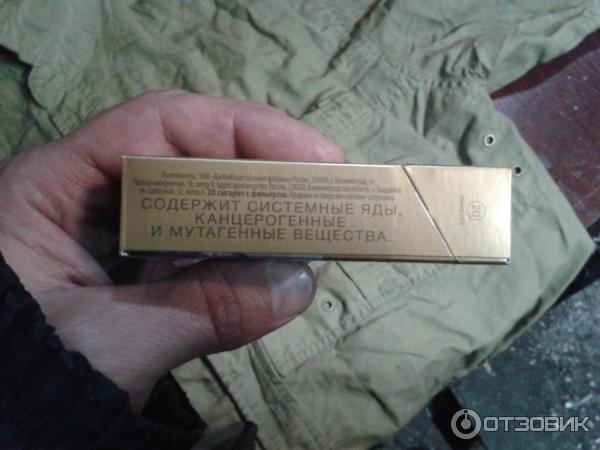 Сигареты Business Class Silver Leaf