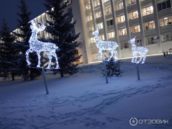 Архангельск Новый Год Отзывы Туристов Архангельск Новый Год Отзывы Туристов