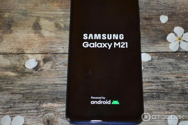 Отзыв о Смартфон Samsung Galaxy M21 | Монстр автономии, шустрый ...