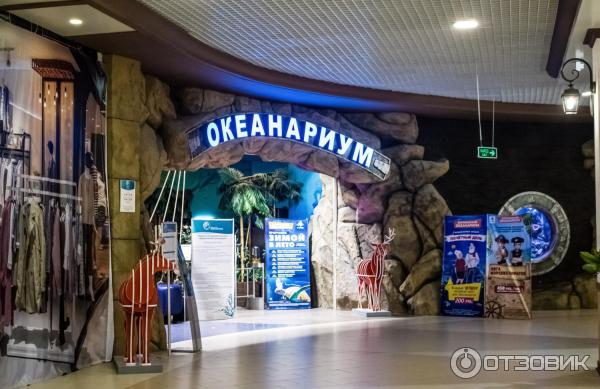 Воронежский океанариум (Россия, Воронеж) фото