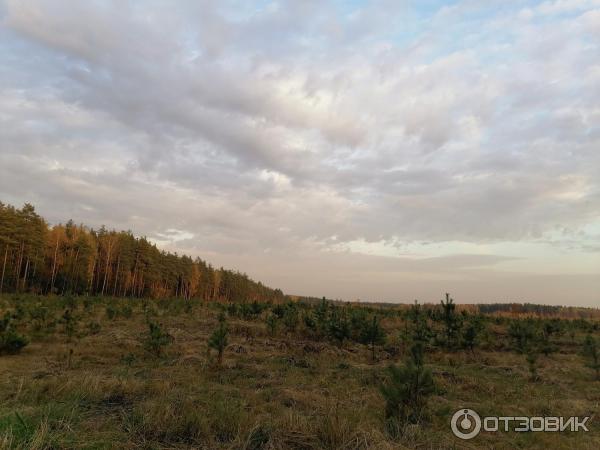 Смартфон Huawei Honor 9X фото