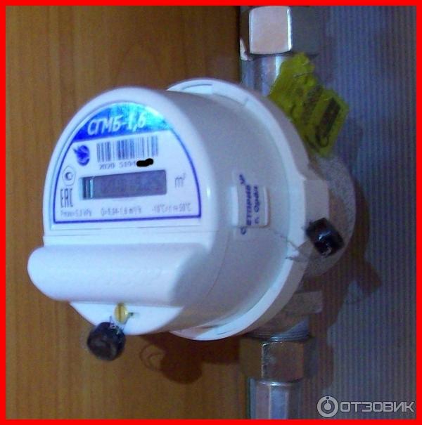 Счетчик газа малогабаритный бытовой СГМБ-1,6-0,040 фото