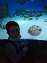 Что отличает аквапарк "Москвариум" от других?