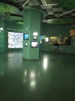 Что отличает аквапарк "Москвариум" от других?