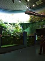 Что отличает аквапарк "Москвариум" от других?