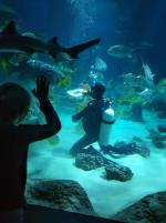 Что отличает аквапарк "Москвариум" от других?