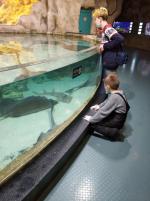 Что отличает аквапарк "Москвариум" от других?