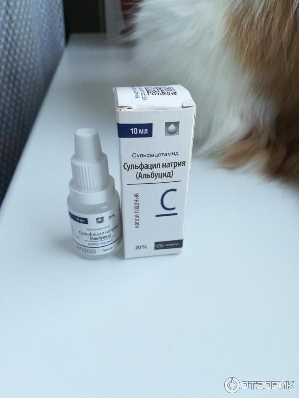 альбуцид армянский лекарство. лекарства альбуцид порошок. альбуцид лекко. можно ли собаке альбуцид в глаза. можно ли собаке альбуцид в глаза.