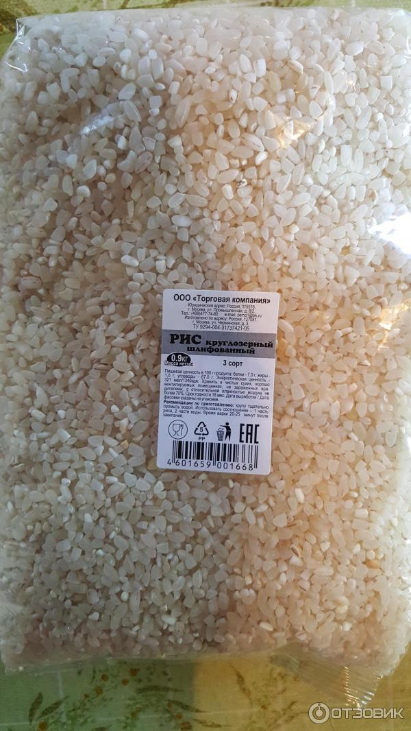 Рис семейство злаковые. Рис 3 класса. Чем полезен рис. Рис злаковое растение. Доклад про рис 3 класс.