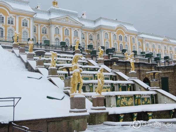 Отзыв о Большой Петергофский дворец (Россия, Санкт-Петербург) | хочется ...
