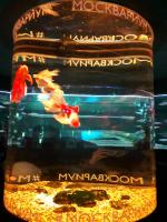 Что отличает аквапарк "Москвариум" от других?