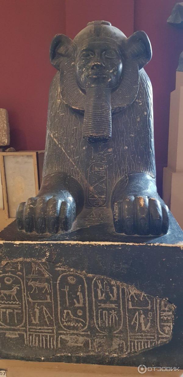 Отзыв о Каирский Национальный музей египтологии (Египет, Каир ...