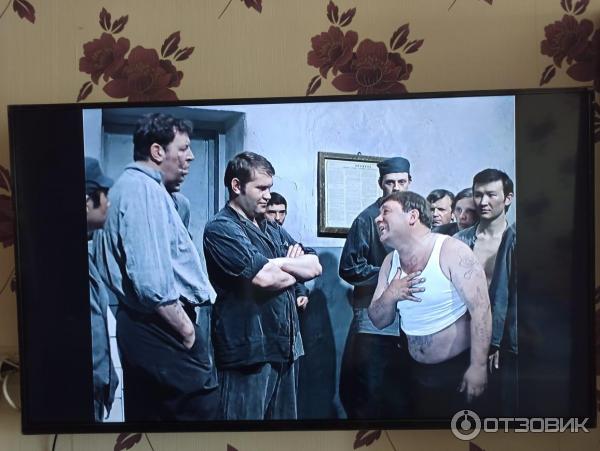Качество