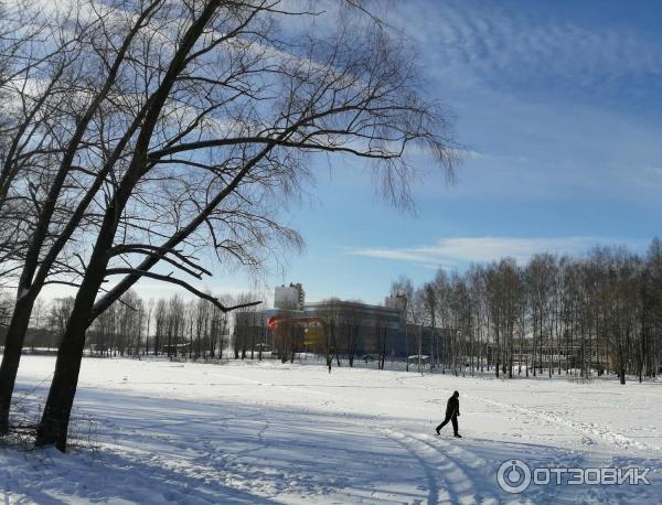 Аквапарк Тропической остров (Россия, Ярославль) фото