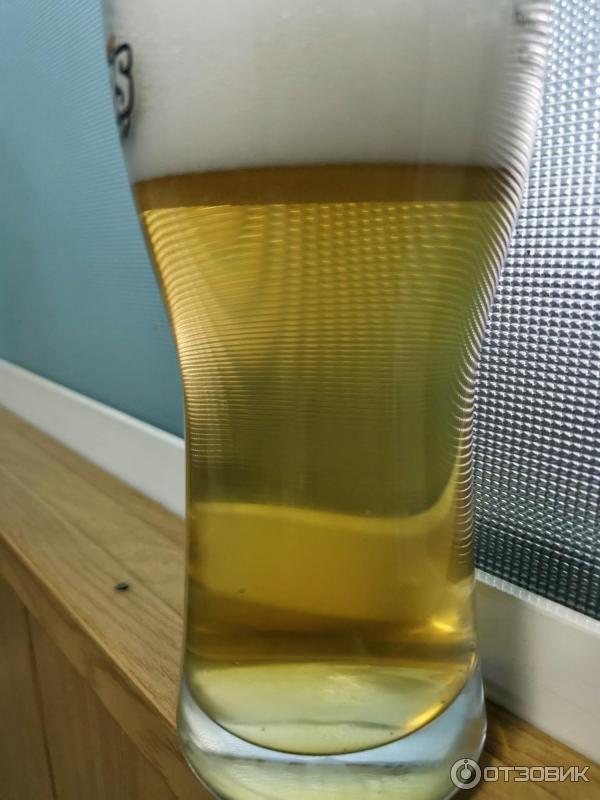 Отзыв о Пиво "Radeberger Pilsner" | Любимое пиво советских чекистов в ...