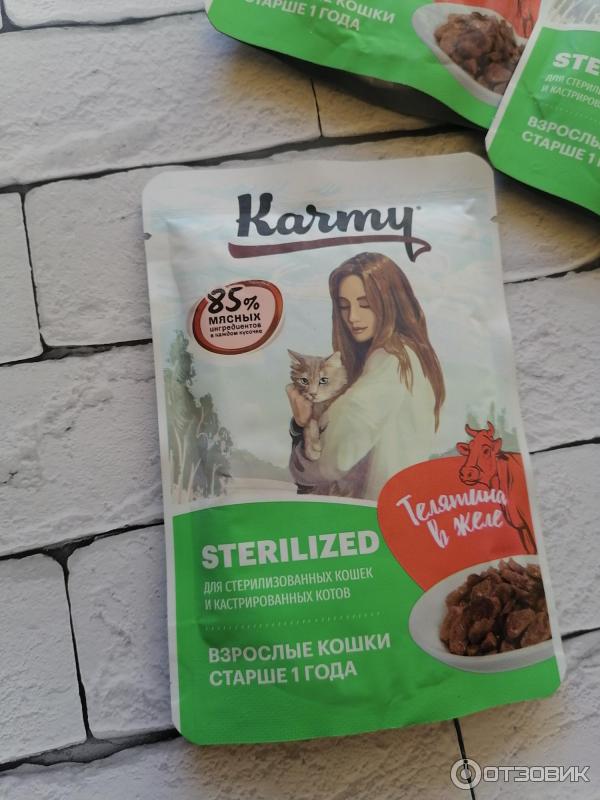 корм для собак karmy 15 кг. карми влажный корм для кошек. корм для собак karmy (2 кг) medium adult индейка. Karmy , карми макси юниор телятина 15кг. Karmy delicious телятина для средних и крупных пород 14 кг.