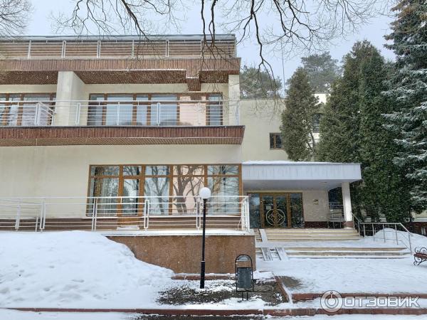 Яхонты Ногинск Новый Год Отзывы Яхонты Ногинск Новый Год Отзывы