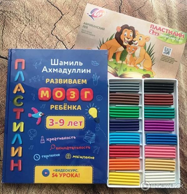 шамиль ахмадуллин книги. книга шамиля ахмадуллина развиваем мозг. книга шамиля ахмадуллина развиваем мозг. книга шамиля ахмадуллина развиваем мозг. ш.