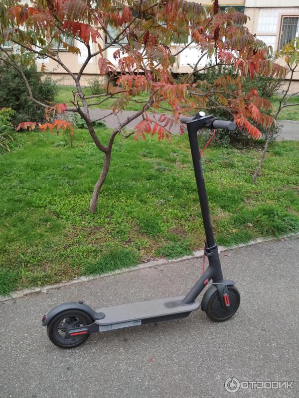 Электросамокат Xiaomi Mijia Electric Scooter M365 pro фото