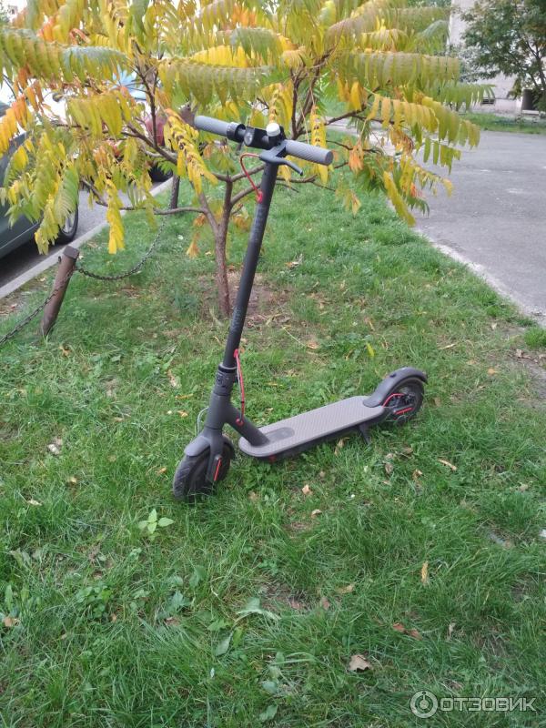 Электросамокат Xiaomi Mijia Electric Scooter M365 pro фото